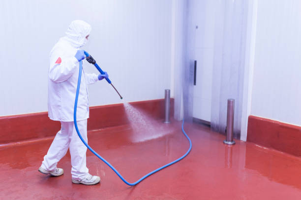 Best Building Exterior Washing  in Schler Park, IL