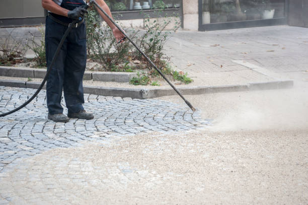 Best Oil Spill Cleanup  in Schler Park, IL